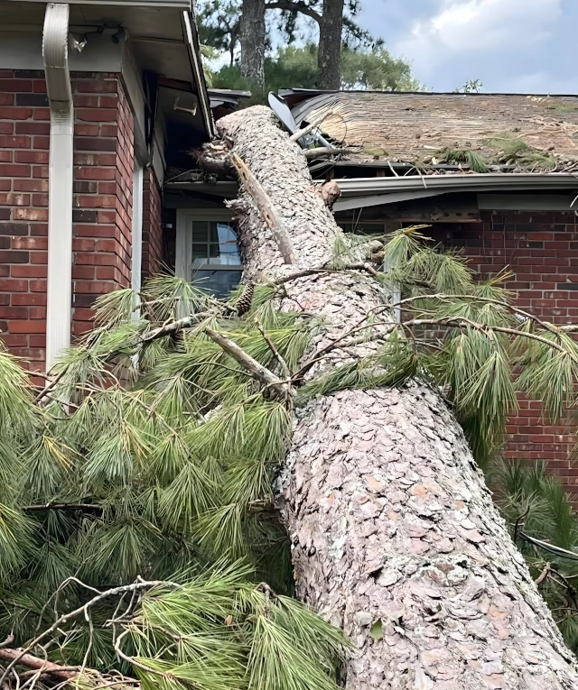 residential roofing