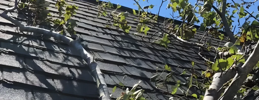 roof debris removal