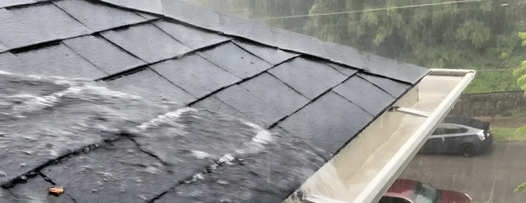roof coating and waterproofing
