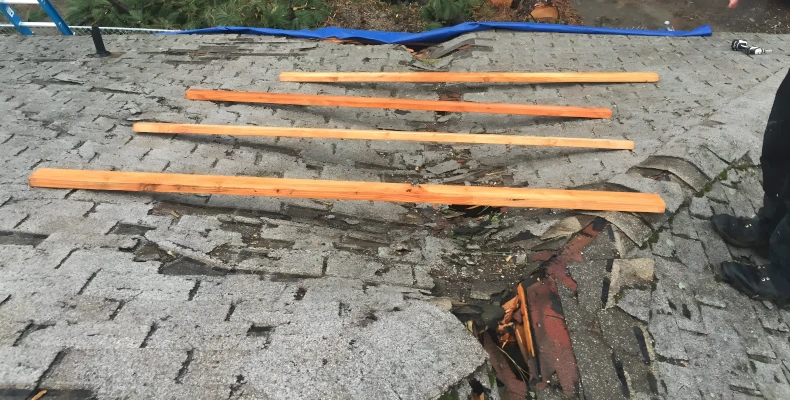 roof repair